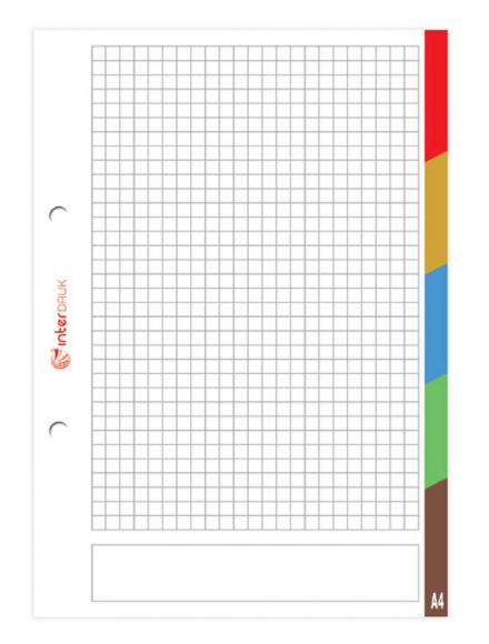 Wkład do segregatora w kratkę, A4 50 kartek, LUX z kolorowymi registrami